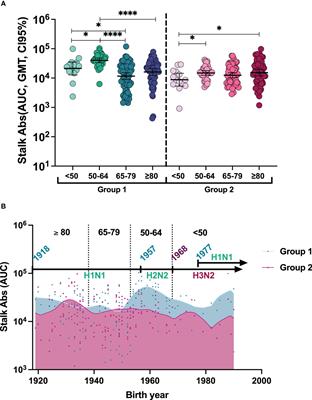 Group 1 and group 2 hemagglutinin stalk antibody response according to age